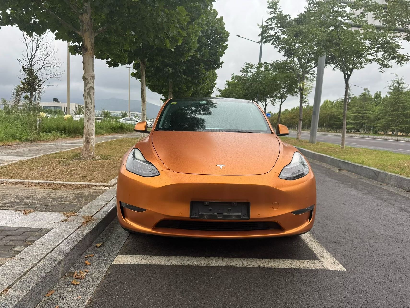 2021 Tesla Model Y Electric Standard Range Rear-Wheel Drive -CG1703689