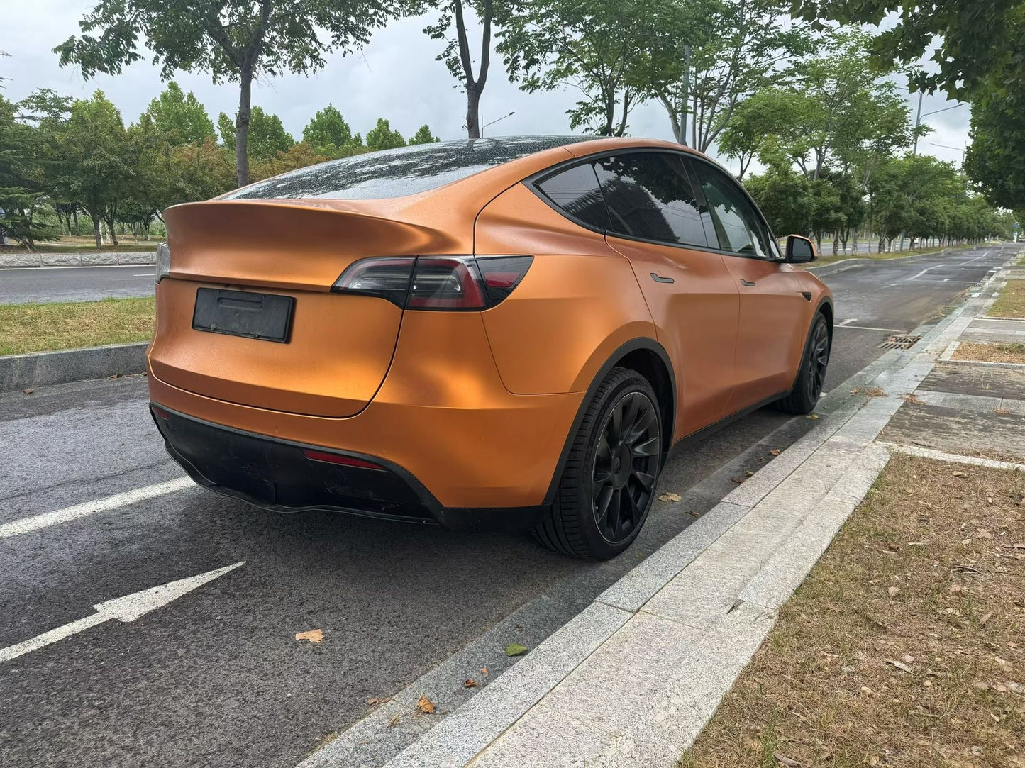 2021 Tesla Model Y Electric Standard Range Rear-Wheel Drive -CG1703689