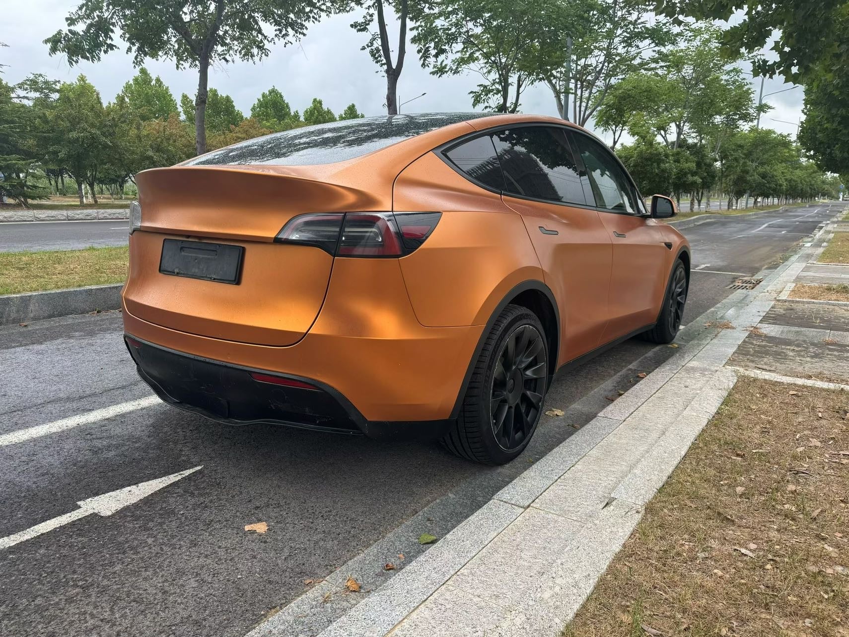 2021 Tesla Model Y Electric Standard Range Rear-Wheel Drive -CG1703689