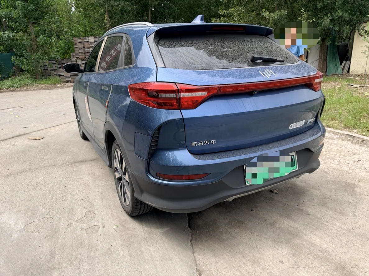 2020 Weltmeister EX5 Electric EX5-Z Fun Dynamic Edition -CG1703741