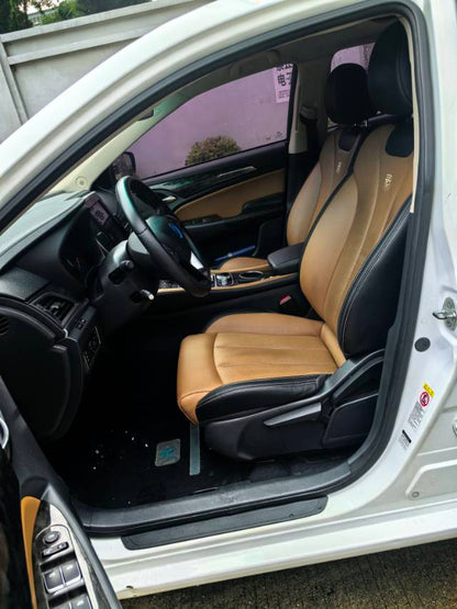 2017 BYD Qin New Energy 1.5T Dual-Clutch Premium -CG1703803