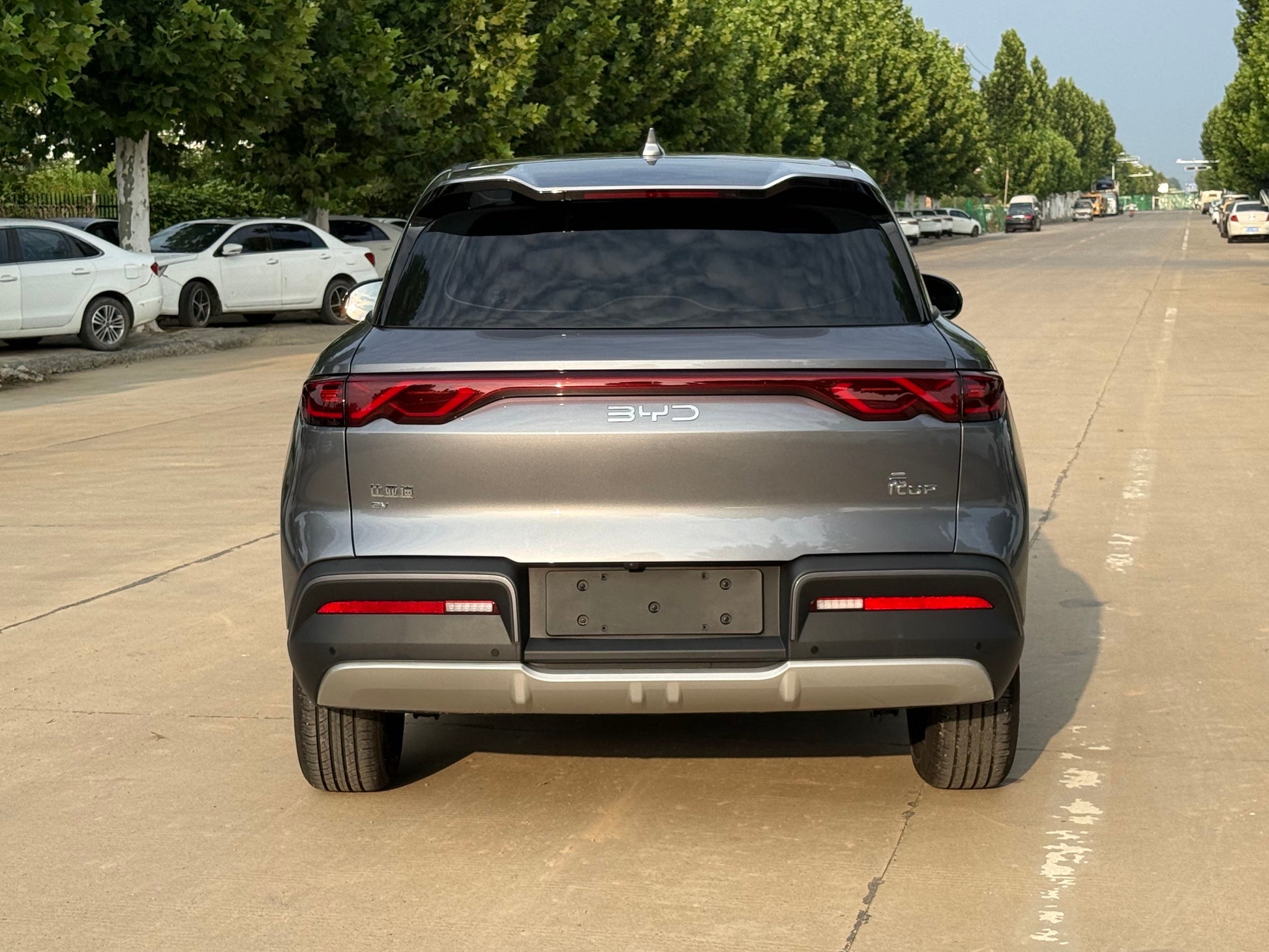 2025 BYD Yuan UP 301KM Pilot -CG1704164