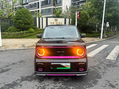 2024 Geely Panda 200km Panda Kart -CG1704245