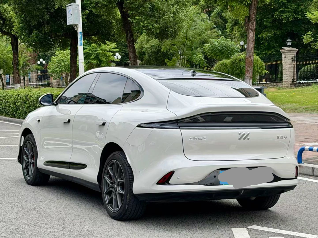2023 IM LS6 Max Standard Edition -CG1704388