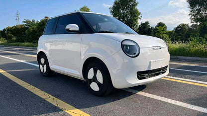 2022 Changan Lumin Electric 210km Sweet -CG1704783