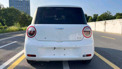 2022 Changan Lumin Electric 210km Sweet -CG1704783