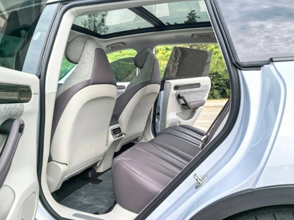 2021 Leapmotor C11 Intelligent Travel Edition 510 -CG1704814