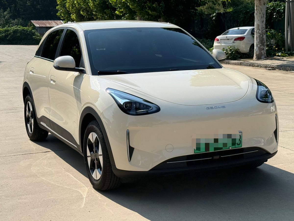 2025 Xingyuan 310km Dream Edition -CG1704951