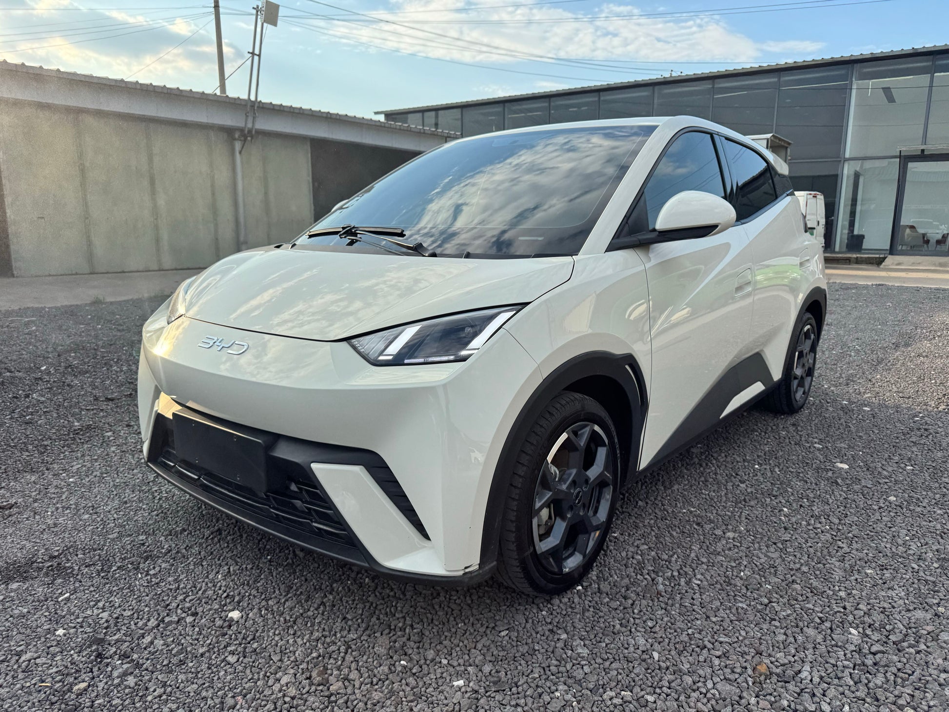 2024 Seagull Honor Edition 405km Flying Edition -CG1705097