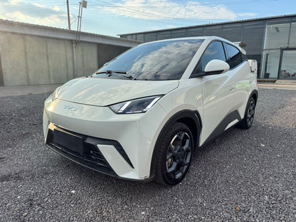 2024 Seagull Honor Edition 405km Flying Edition -CG1705097