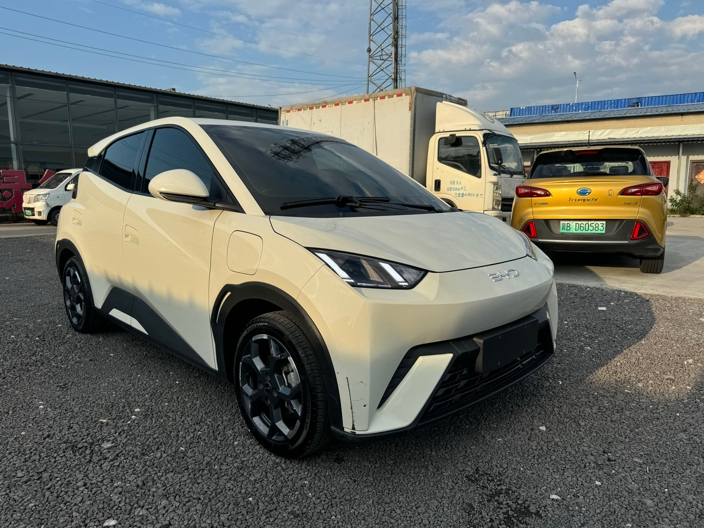 2024 Seagull Honor Edition 405km Flying Edition -CG1705097