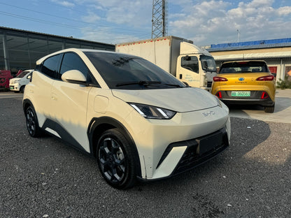 2024 Seagull Honor Edition 405km Flying Edition -CG1705097