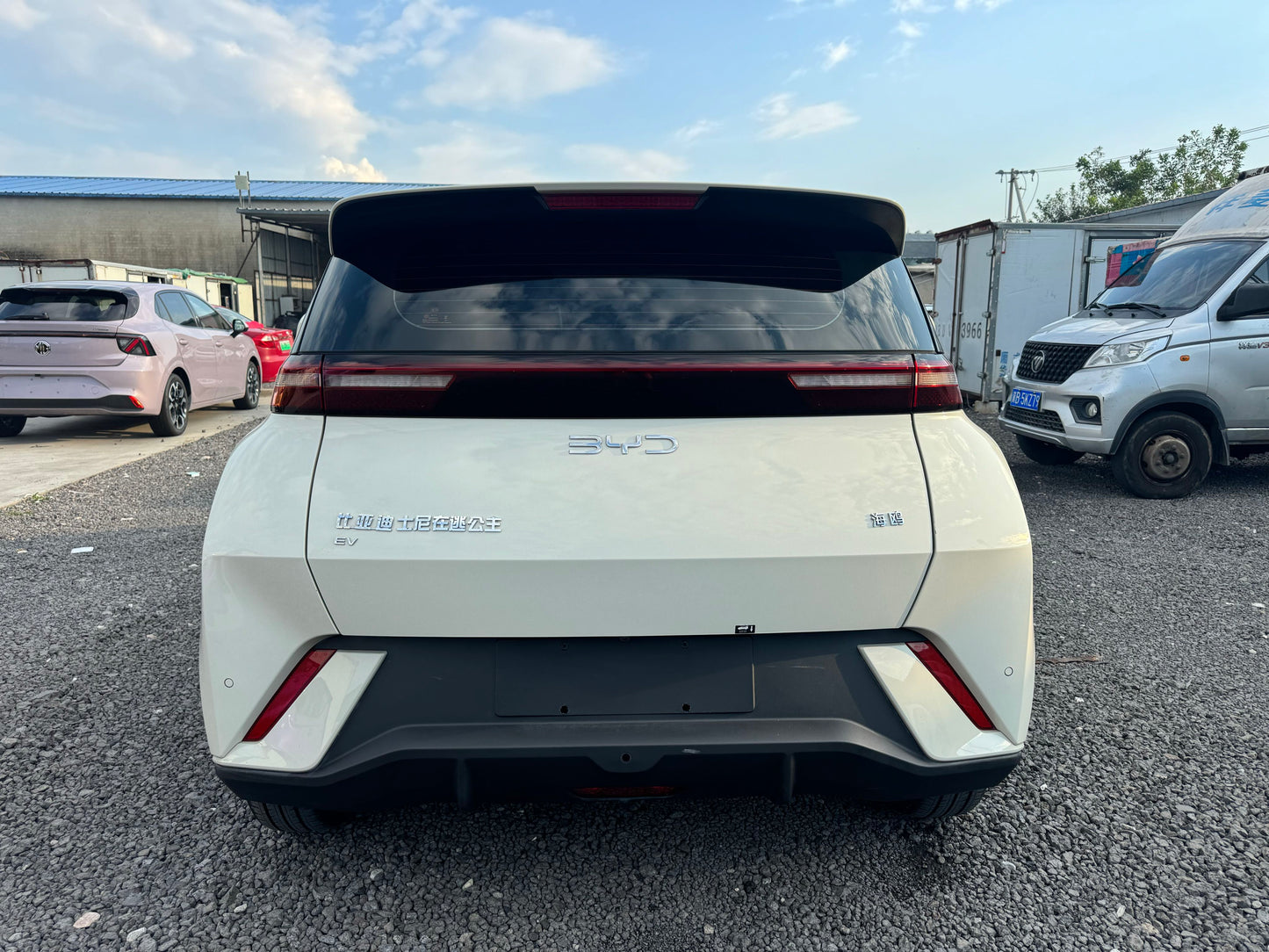 2024 Seagull Honor Edition 405km Flying Edition -CG1705097