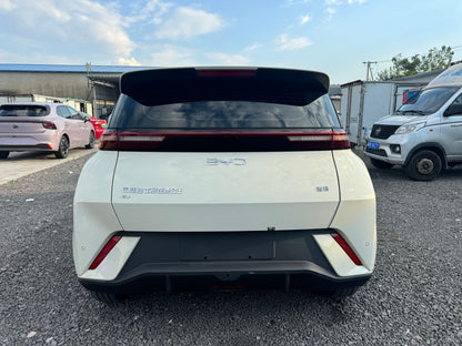 2024 Seagull Honor Edition 405km Flying Edition -CG1705097