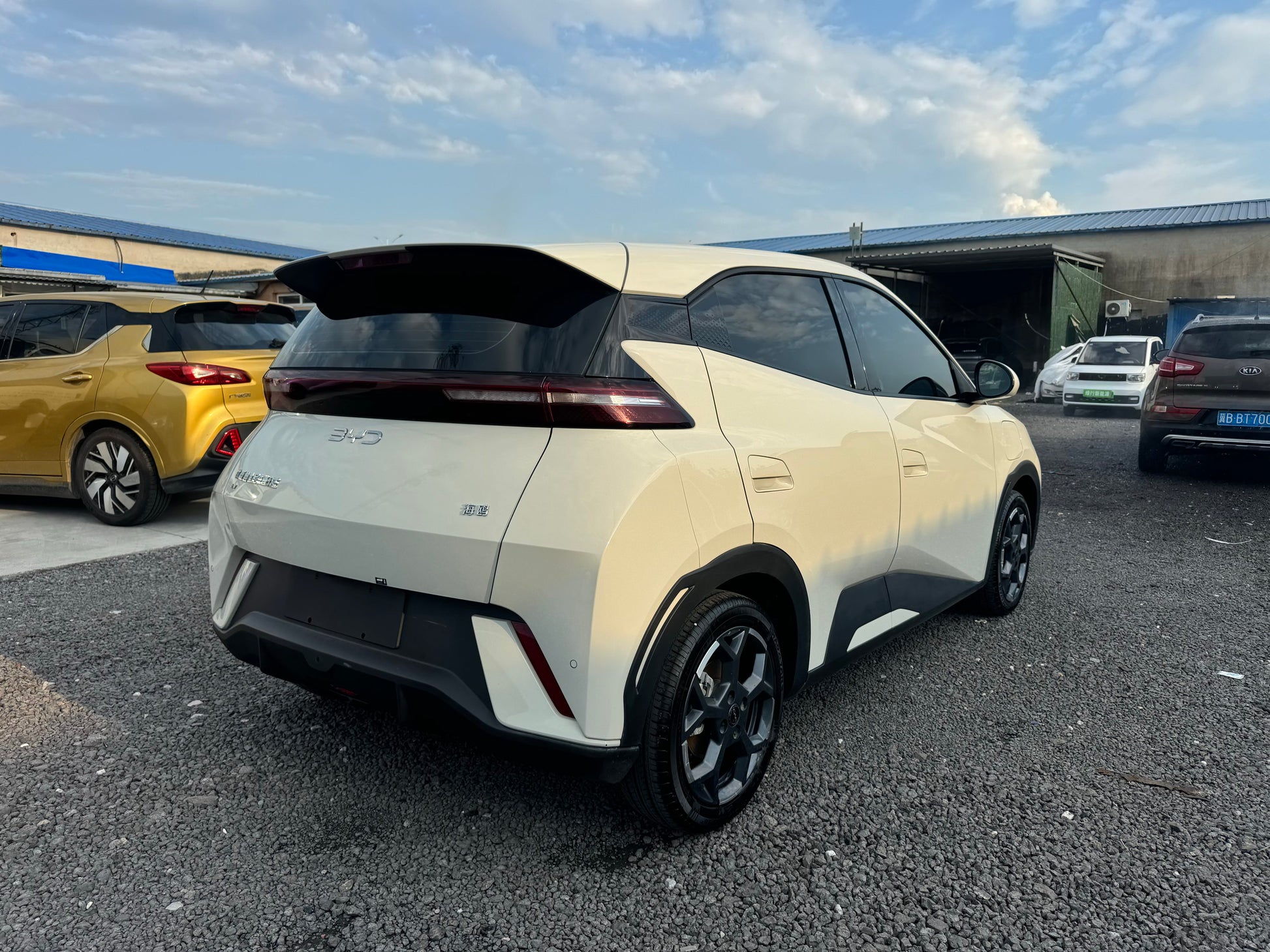 2024 Seagull Honor Edition 405km Flying Edition -CG1705097