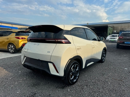 2024 Seagull Honor Edition 405km Flying Edition -CG1705097