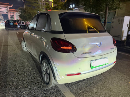 2023 Wuling Bingo Electric 203km Lite Enjoy -CG1705104