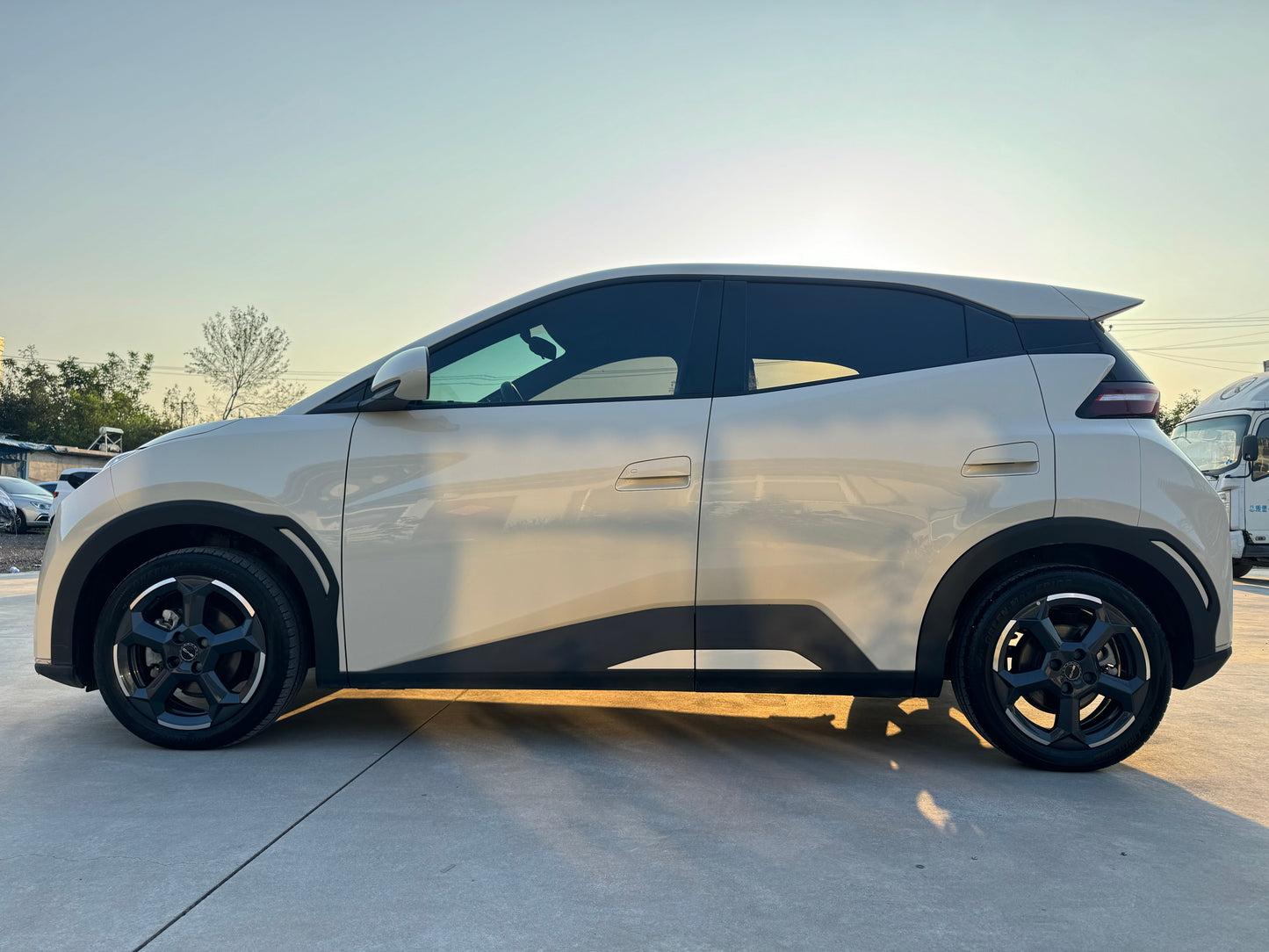 2023 BYD Seagull Electric 305km Freedom Edition -CG1705141