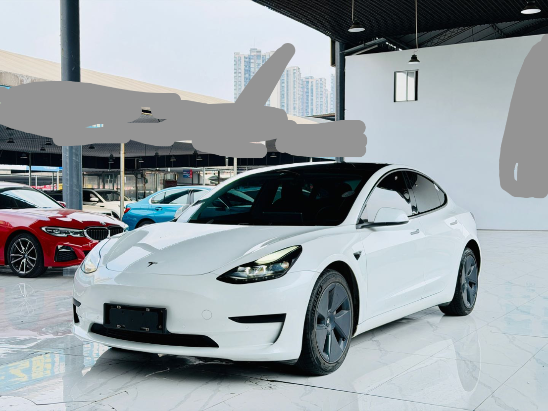 2021 Tesla Model 3 Electric Standard Range Rear-Wheel Drive Enhanced Version 3D6 -CG1705151