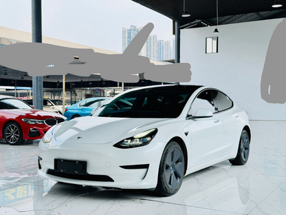 2021 Tesla Model 3 Electric Standard Range Rear-Wheel Drive Enhanced Version 3D6 -CG1705151