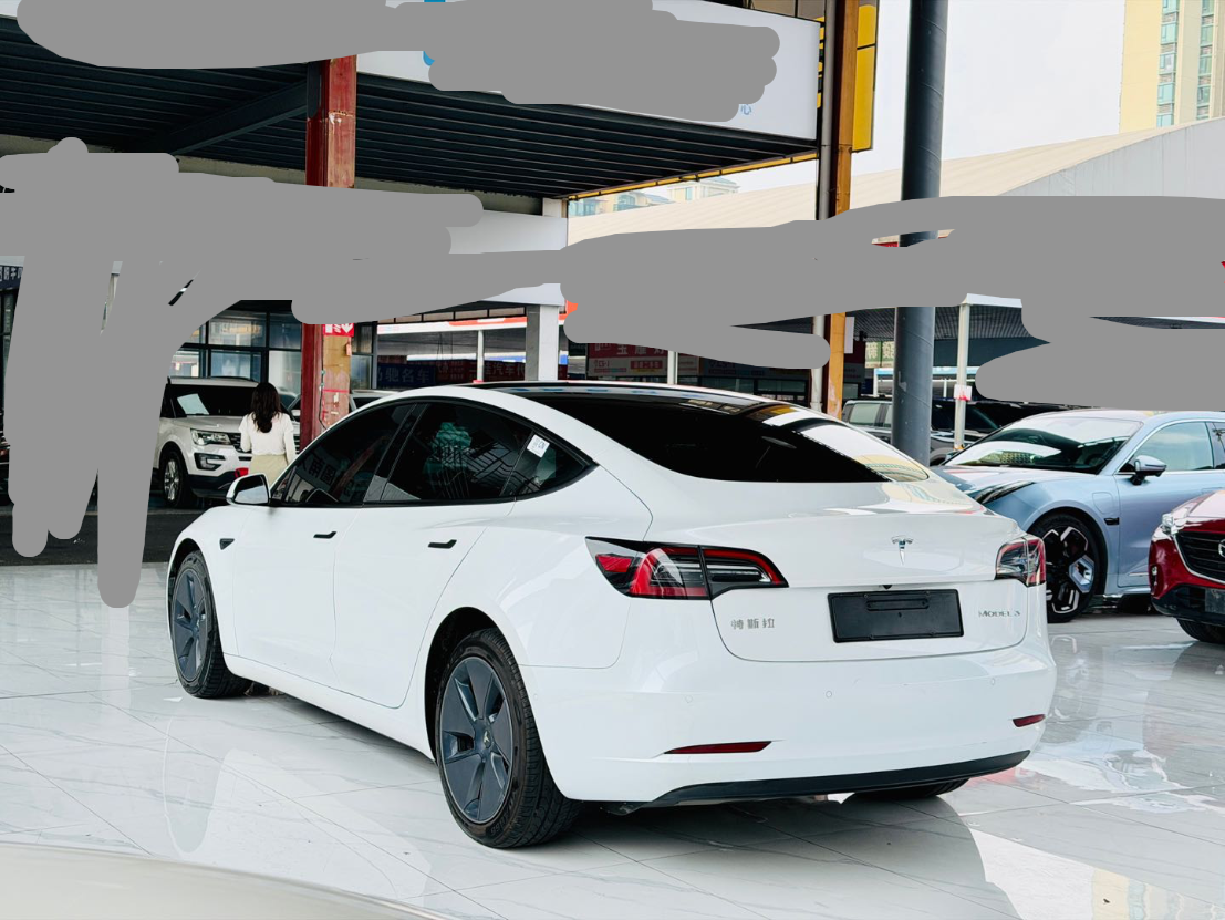 2021 Tesla Model 3 Electric Standard Range Rear-Wheel Drive Enhanced Version 3D6 -CG1705151