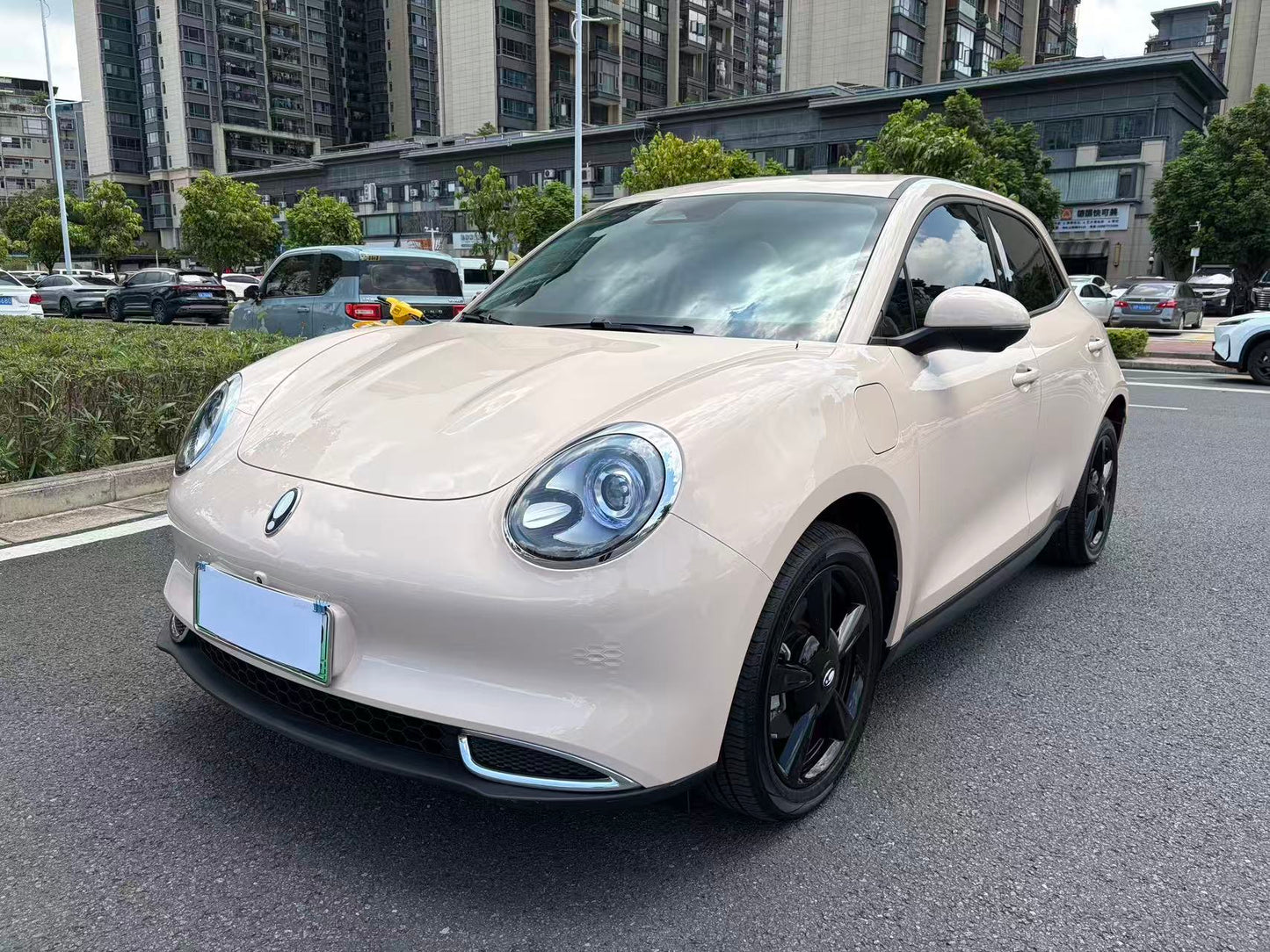2024 Ora Good Cat 401km Luxury -CG1705159