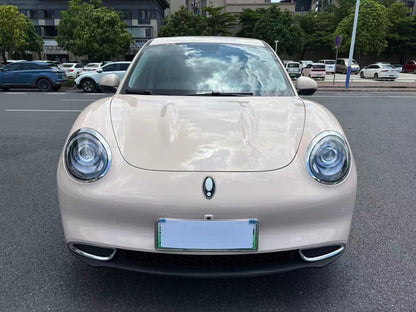 2024 Ora Good Cat 401km Luxury -CG1705159