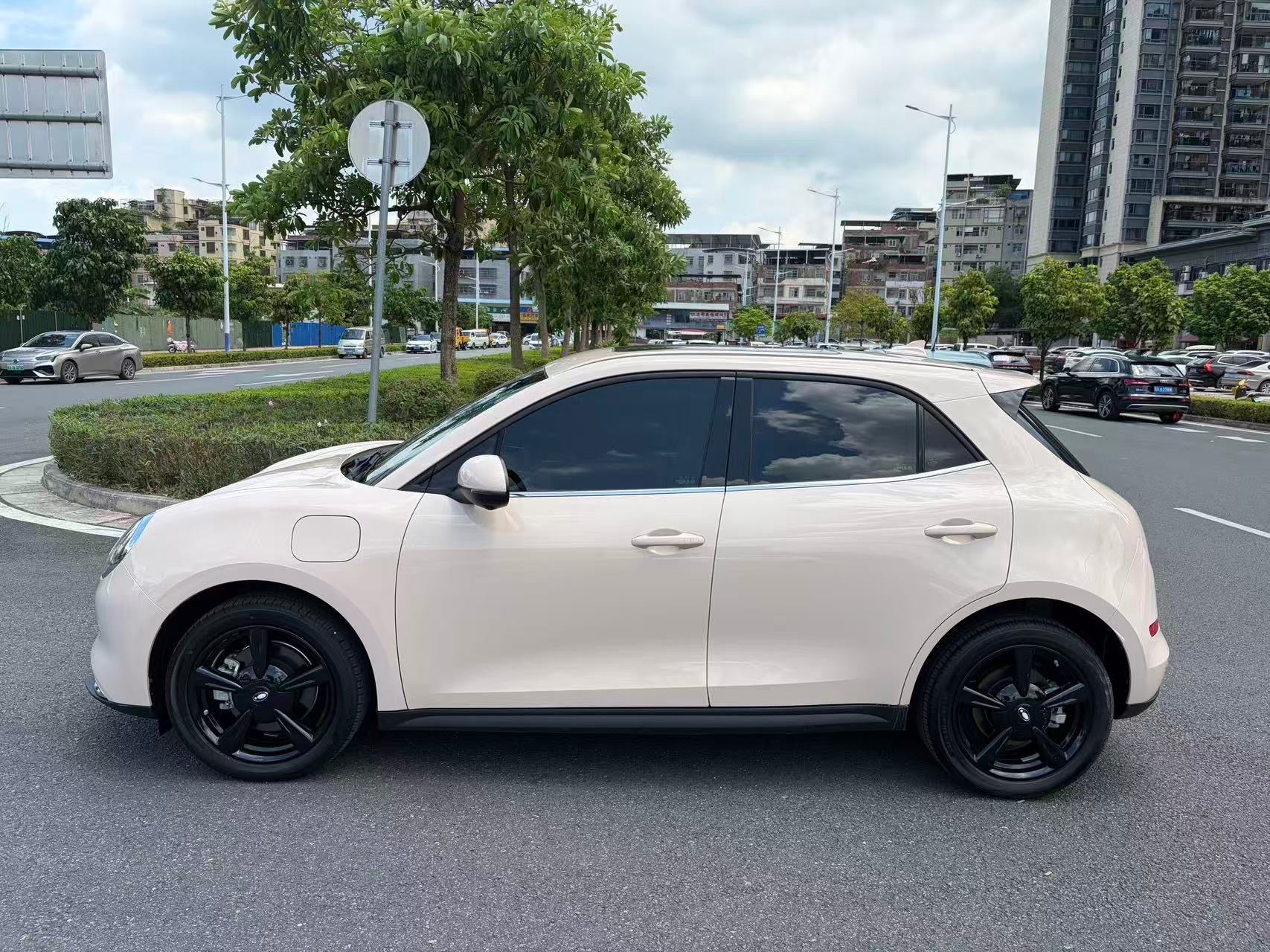 2024 Ora Good Cat 401km Luxury -CG1705159