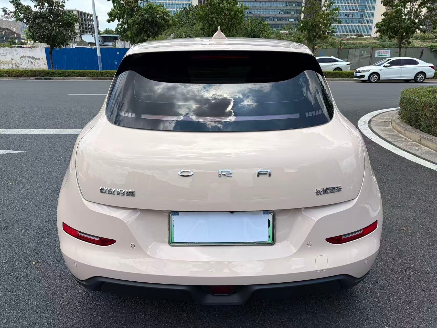 2024 Ora Good Cat 401km Luxury -CG1705159