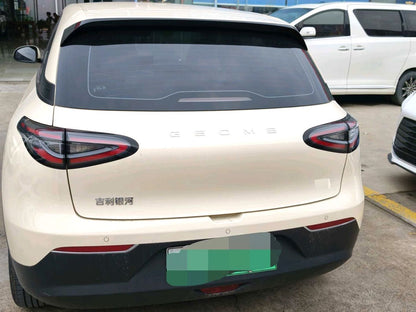 2025 Xingyuan 310km Dream Edition -CG1705570