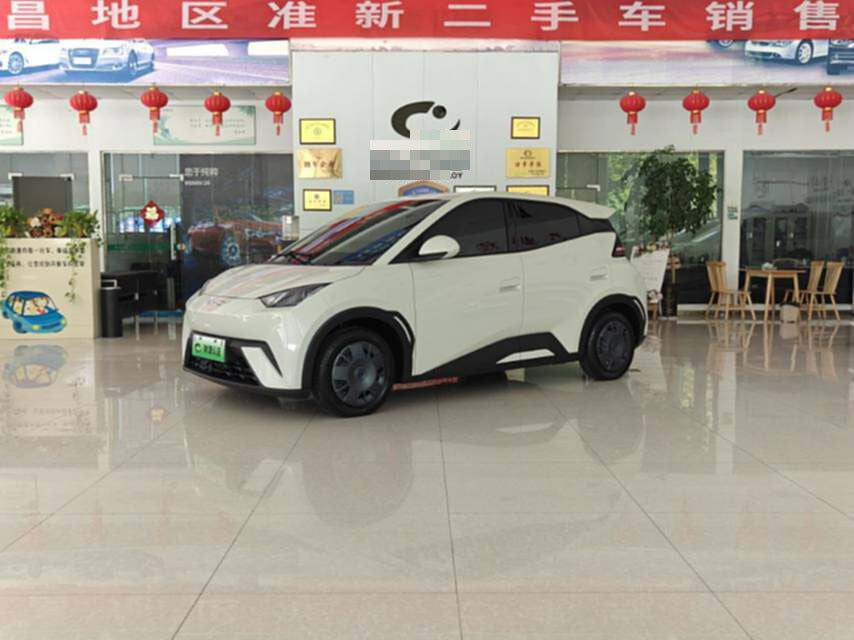 2024 Seagull Honor Edition 305km Vitality Edition -CG1705433
