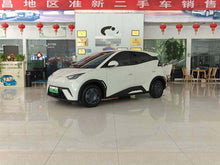 2024 Seagull Honor Edition 305km Vitality Edition -CG1705433