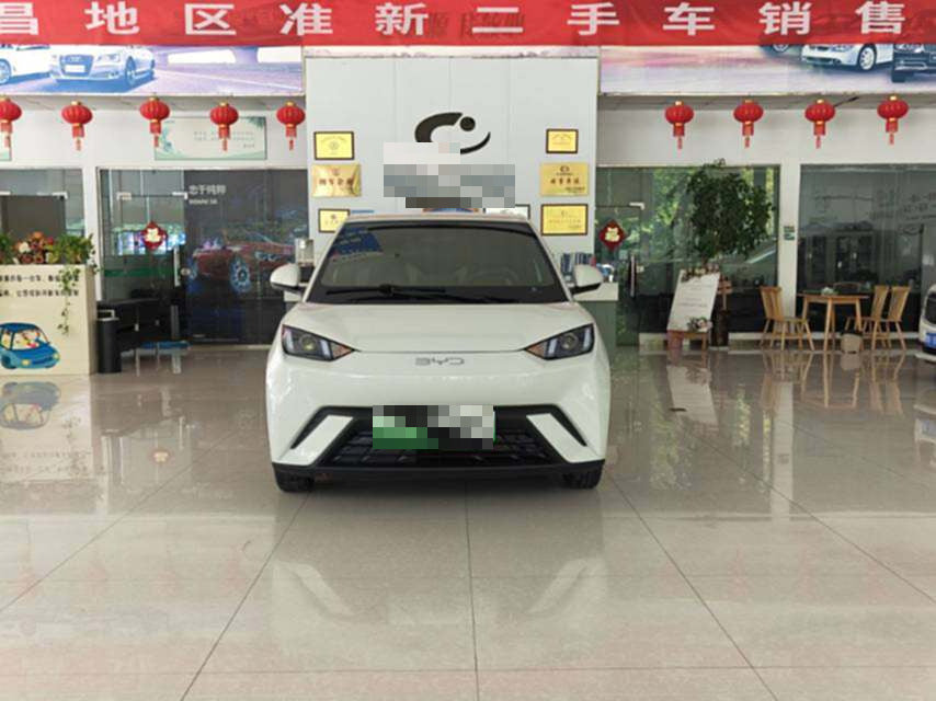 2024 Seagull Honor Edition 305km Vitality Edition -CG1705433