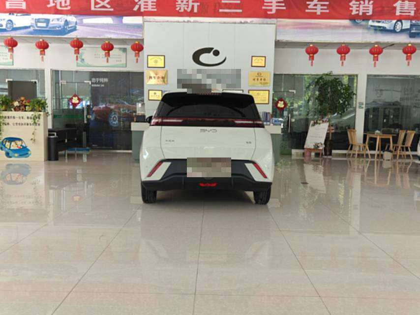 2024 Seagull Honor Edition 305km Vitality Edition -CG1705433