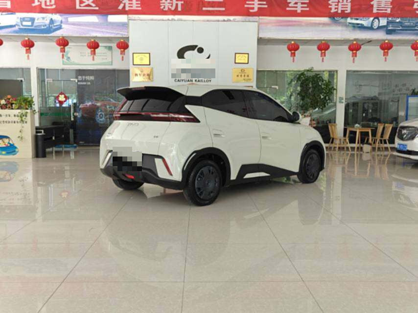 2024 Seagull Honor Edition 305km Vitality Edition -CG1705433