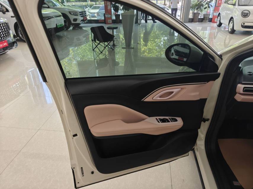 2024 Seagull Honor Edition 305km Vitality Edition -CG1705433