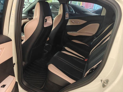 2024 Seagull Honor Edition 305km Vitality Edition -CG1705433
