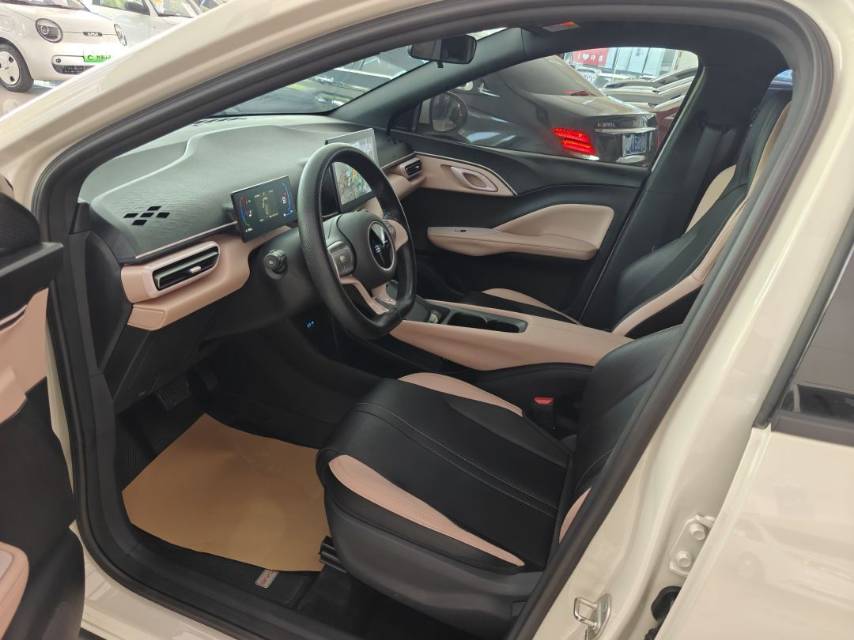 2024 Seagull Honor Edition 305km Vitality Edition -CG1705433