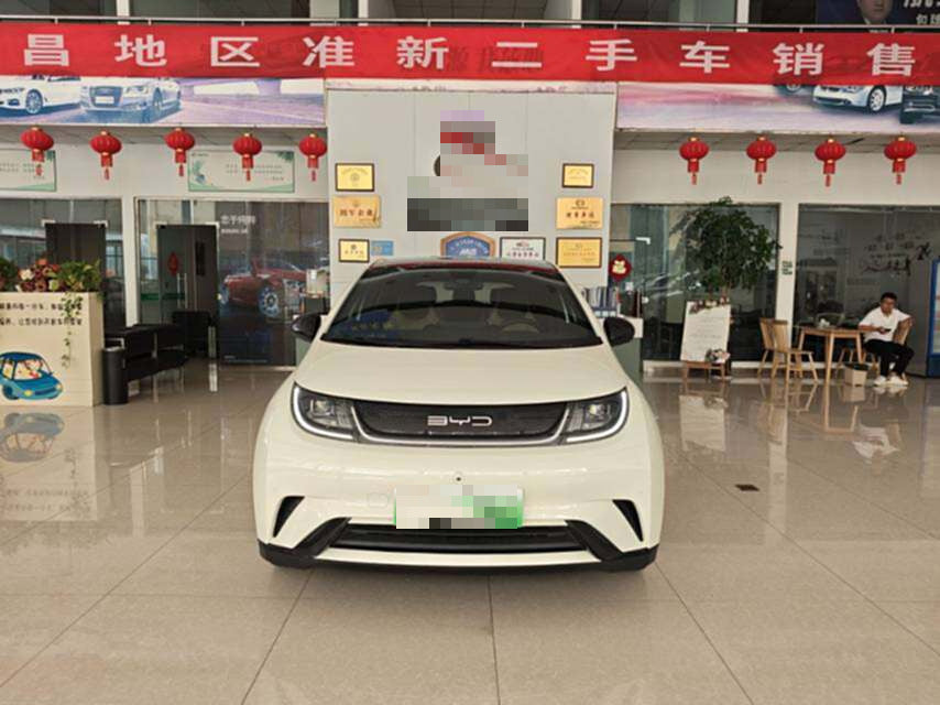 2023 BYD Dolphin Electric 420km Fashion Edition -CG1705440