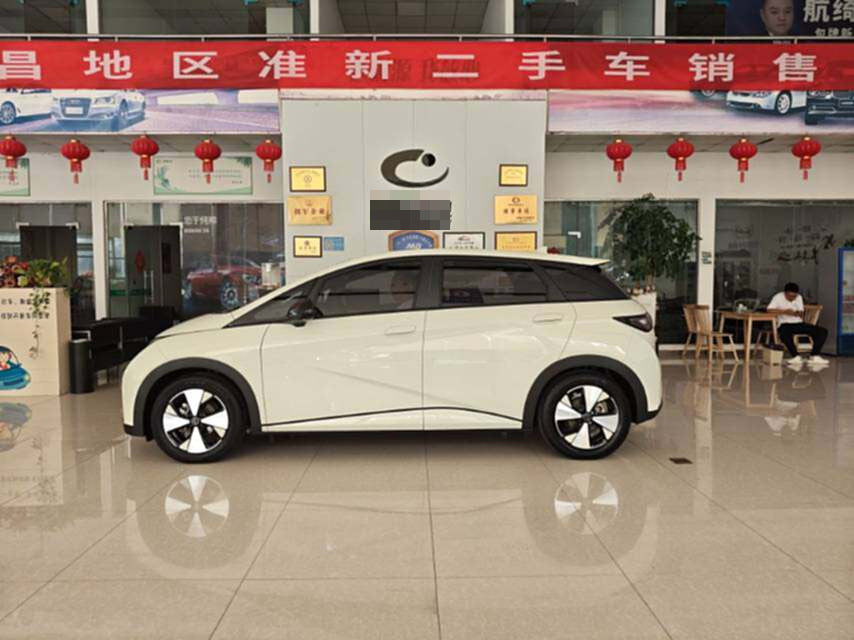 2023 BYD Dolphin Electric 420km Fashion Edition -CG1705440