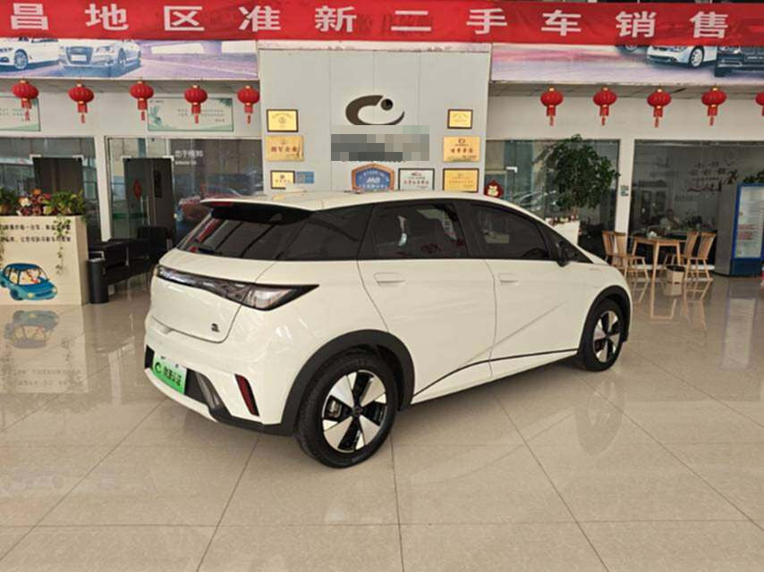 2023 BYD Dolphin Electric 420km Fashion Edition -CG1705440