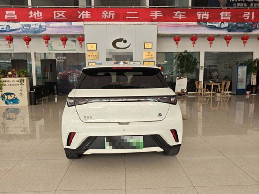 2023 BYD Dolphin Electric 420km Fashion Edition -CG1705440