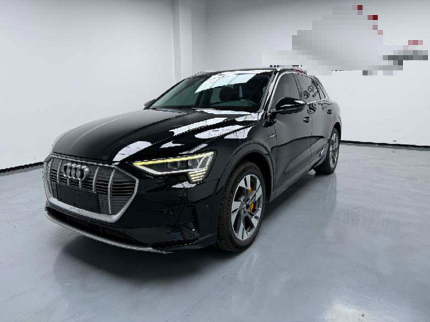 2019 Audi e-tron (Imported) 55 quattro Premium -CG1705496