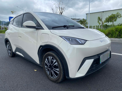 2024 Seagull Honor Edition 305km Dynamic Edition -CG1705676