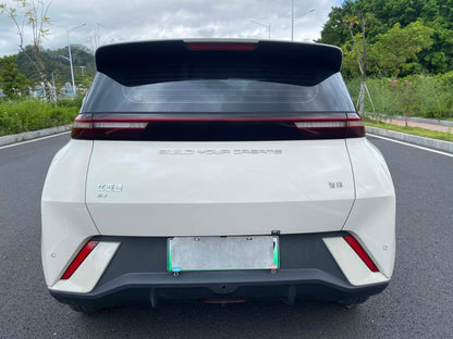 2024 Seagull Honor Edition 305km Dynamic Edition -CG1705676