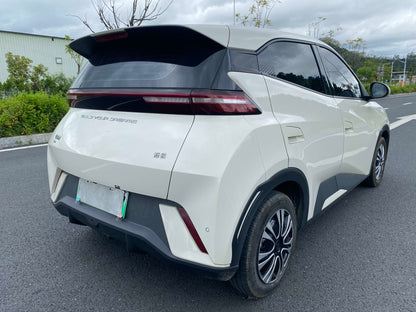 2024 Seagull Honor Edition 305km Dynamic Edition -CG1705676