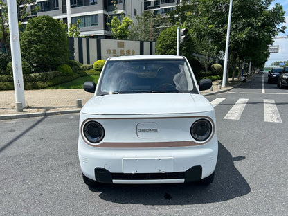 2023 Geely Panda Panda Mini Electric 200km Endurance Bear -CG1705749