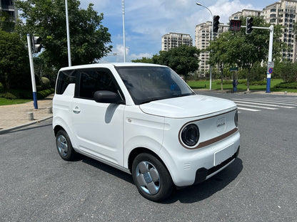 2023 Geely Panda Panda Mini Electric 200km Endurance Bear -CG1705749