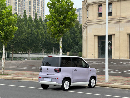 2024 Zhidou Rainbow Mu Guang Edition -CG1705782