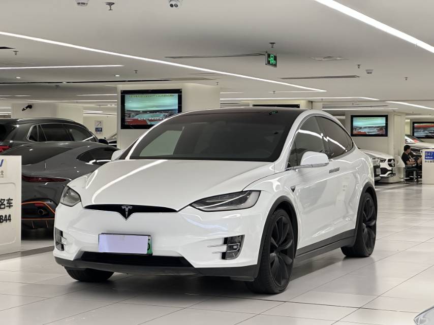 2019 Tesla Model X Electric Performance -CG1705786